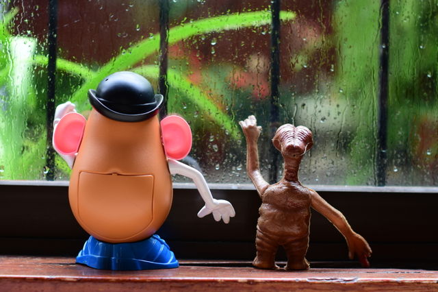 Toys on a rainy day