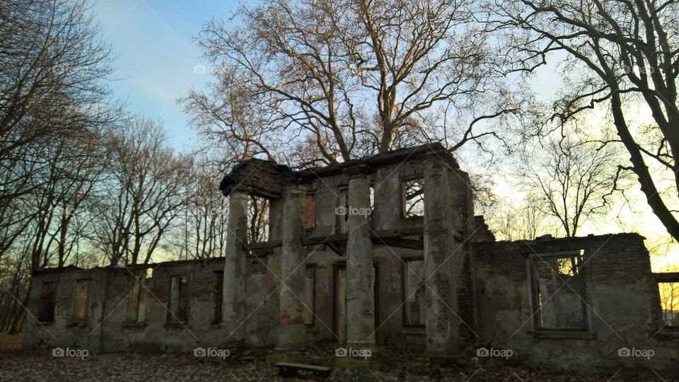 the ruins, Park