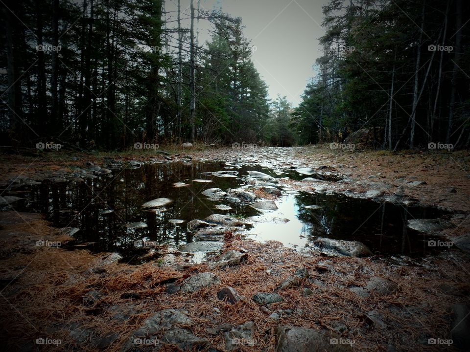 Drummond Island, Michigan 