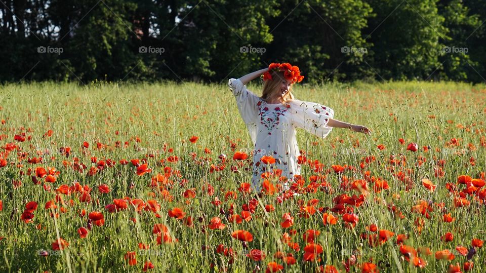 Poppy, Flower, Field, Hayfield, Grass