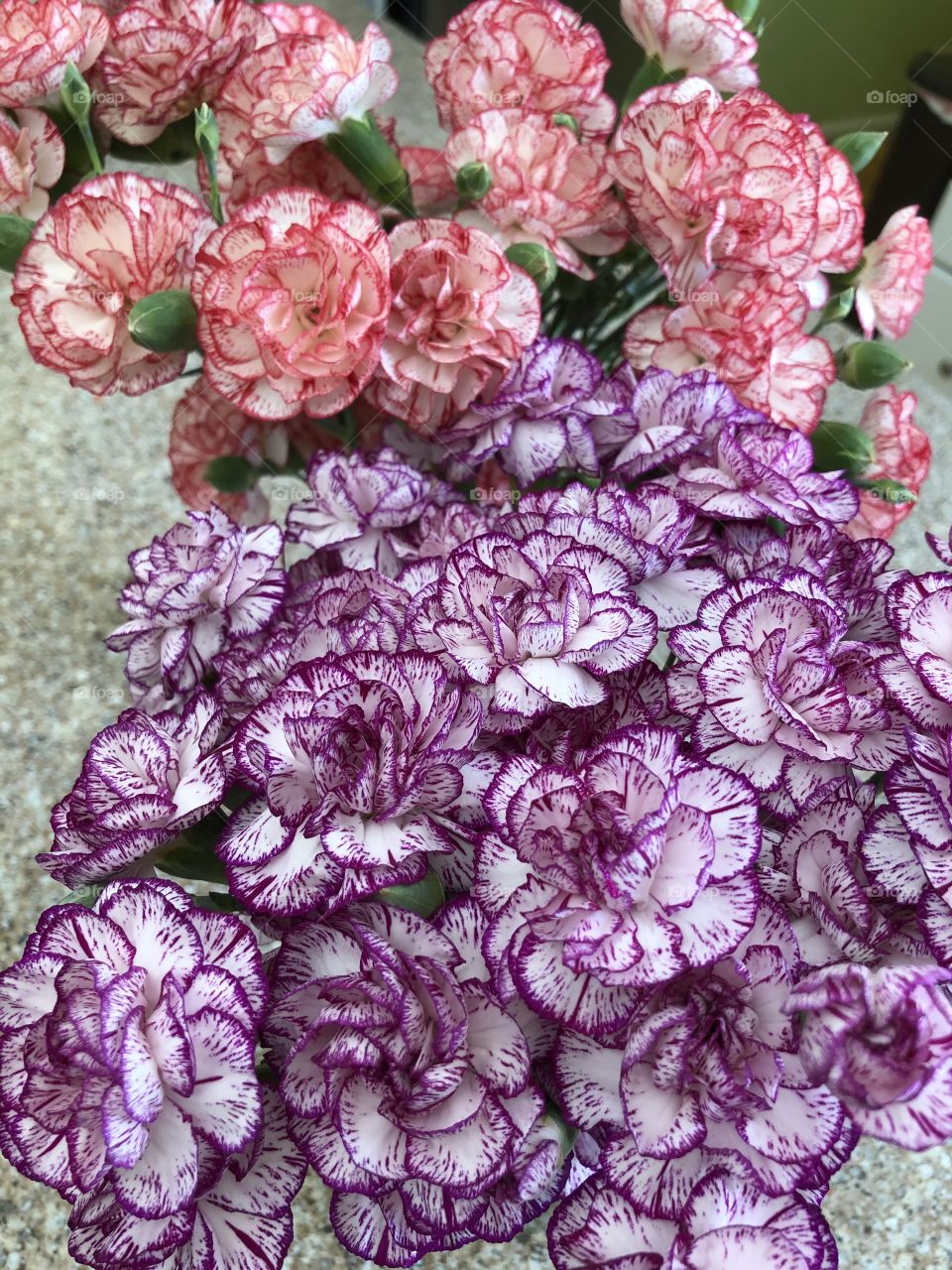 Beautiful flowers on a sunny afternoon.