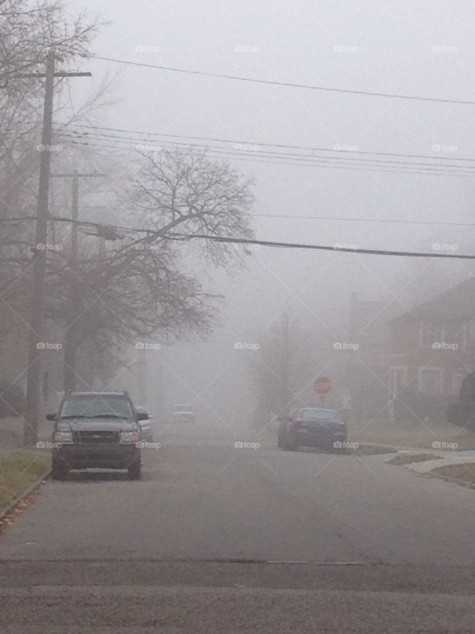 Foggy neighborhood.