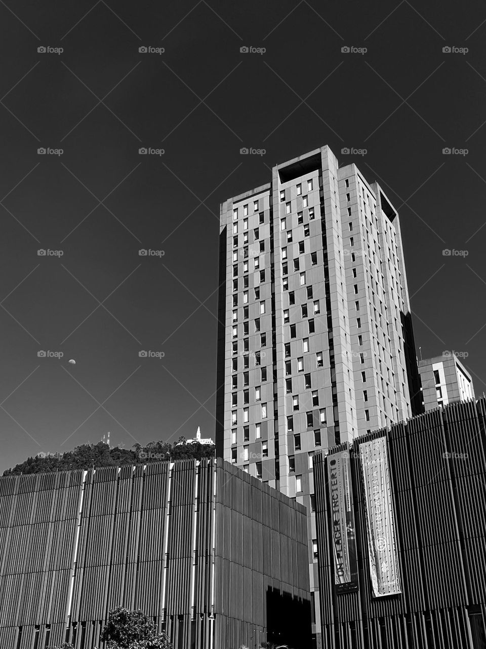 The Bogotá city in a picture in black and white