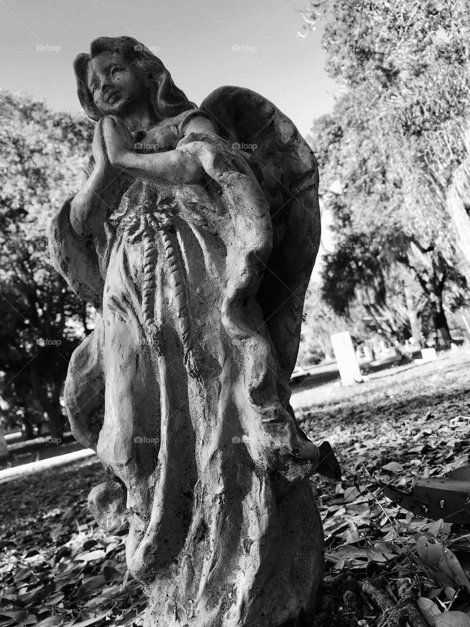 Monochrome angel statue in a cemetery 