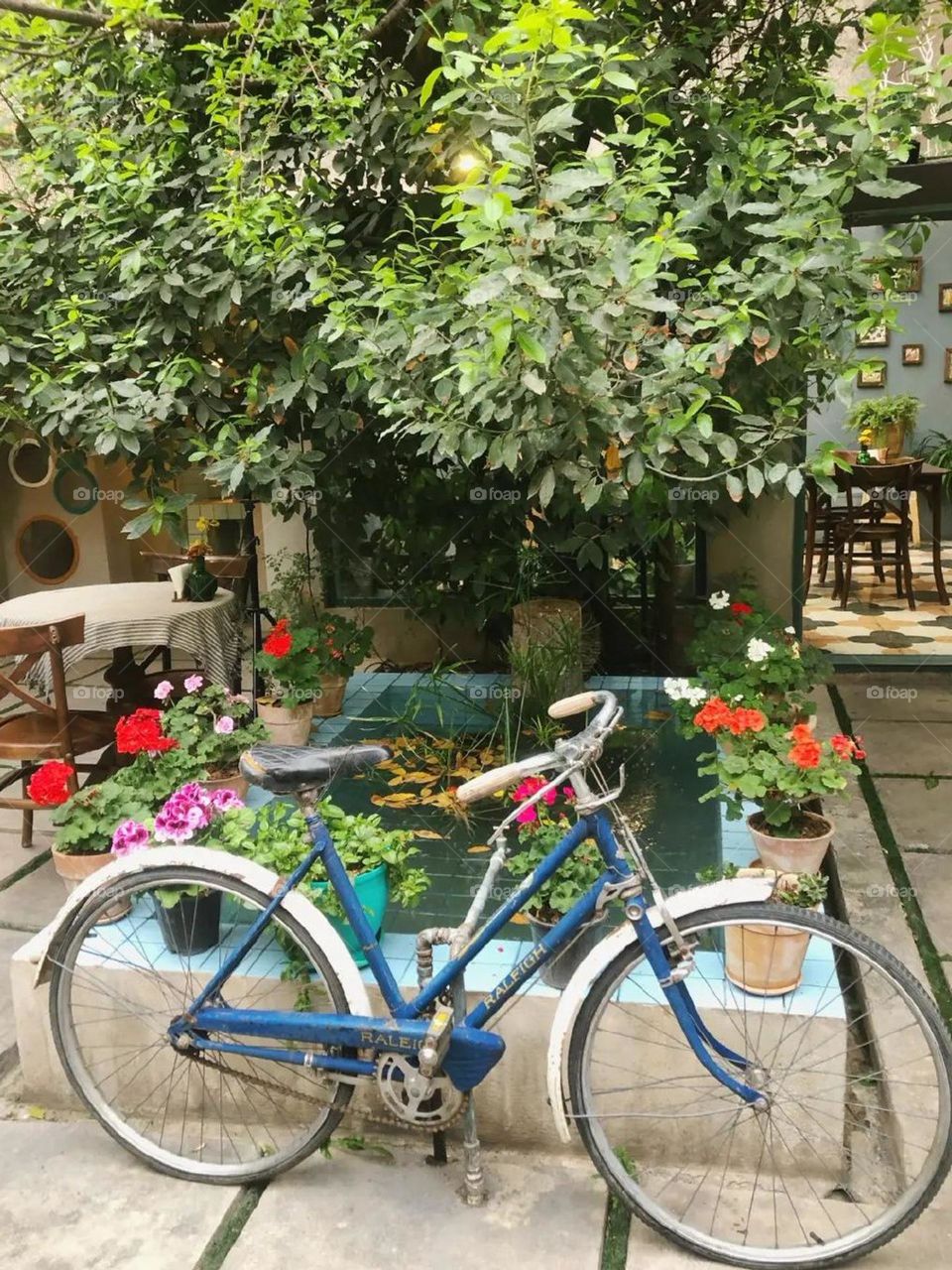 A very old bicycle next to the greenhouse, a small pool full of geranium pots! The cafe menu is also very diverse..