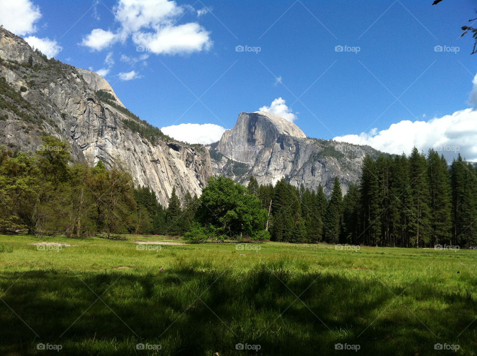 Natural Beauty in Yosemite