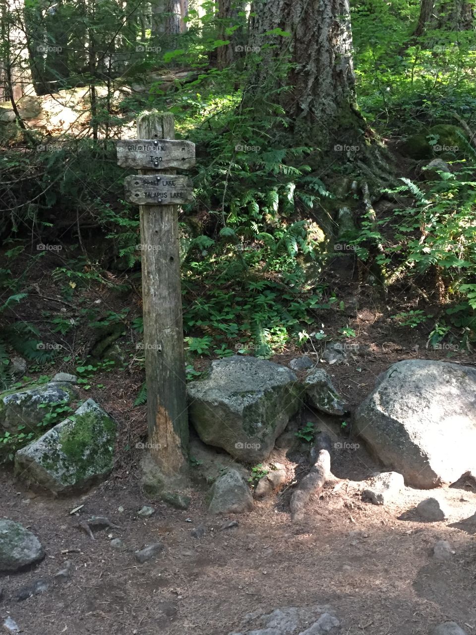 A fork in the trail 