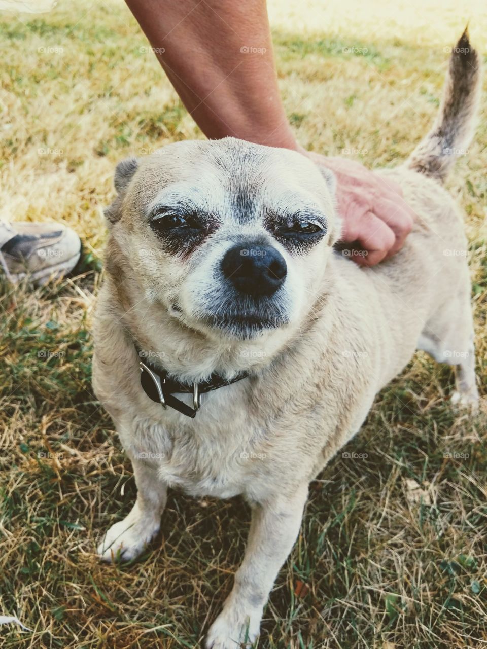 Sometime the good massage is all you need