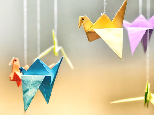 birds papers
