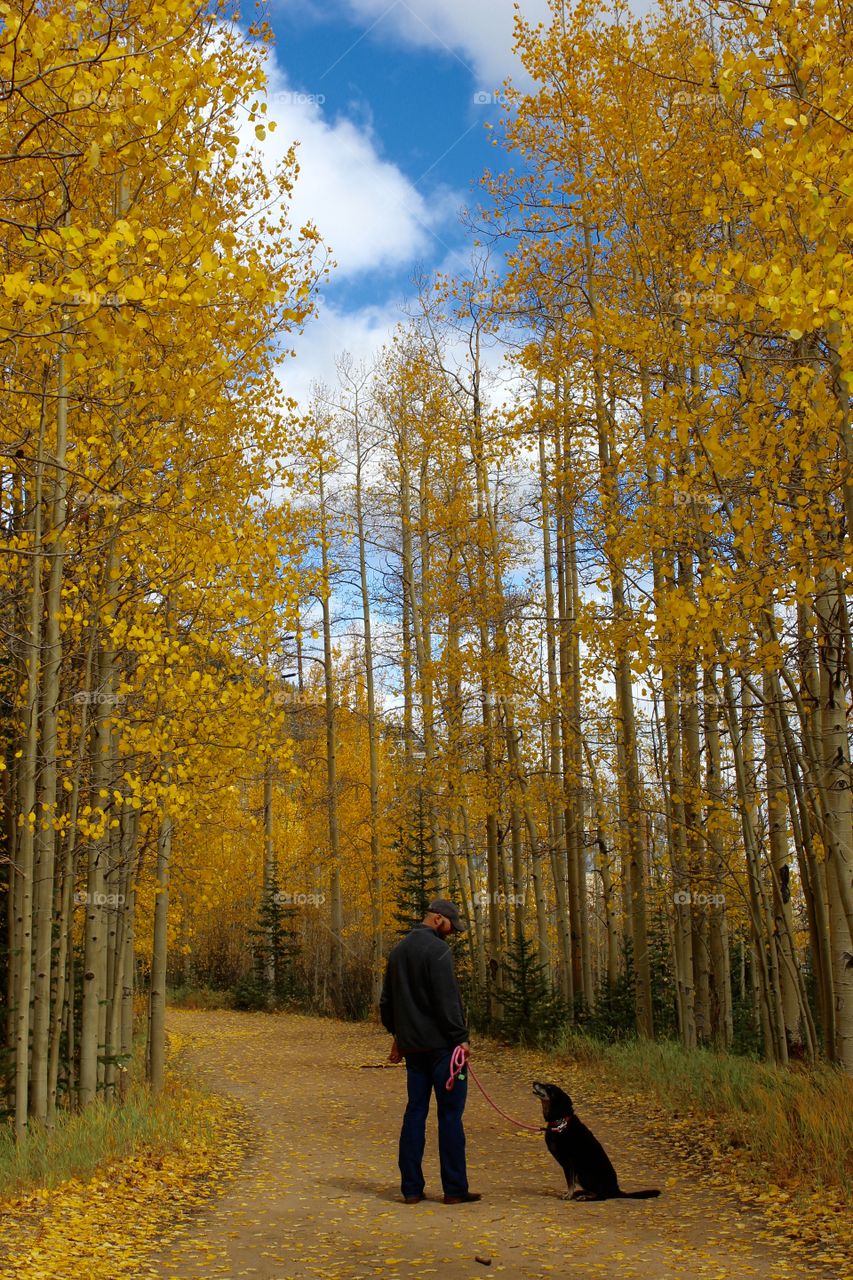 Fall hikes in Colorado