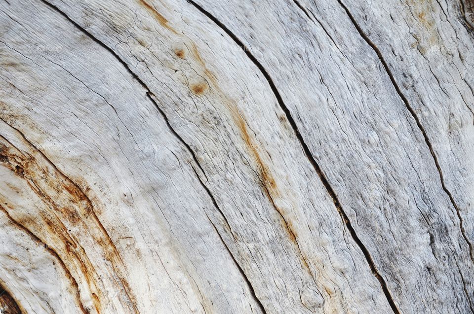 Wood texture