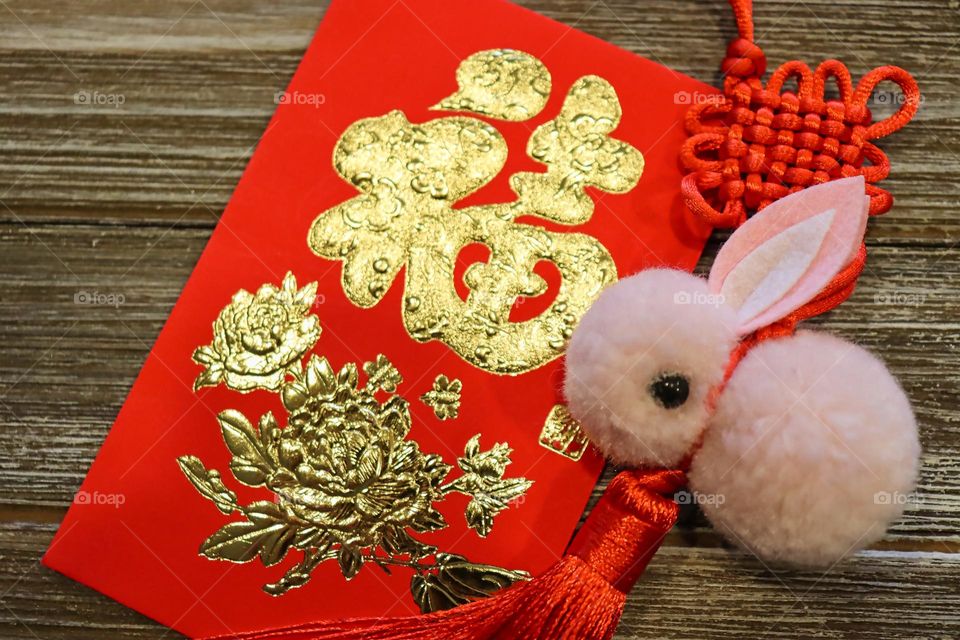 Year of the rabbit