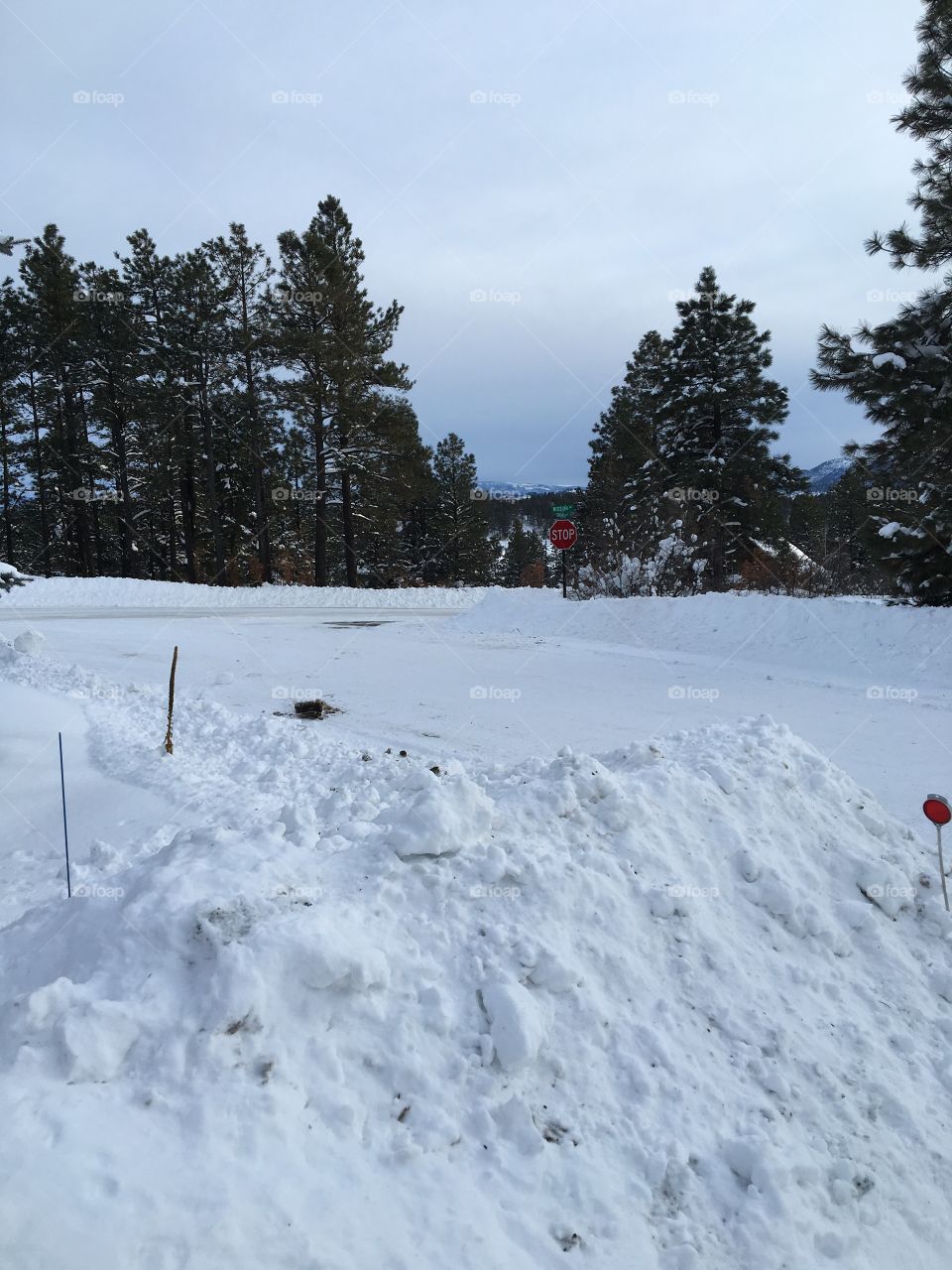 Up in the mountains in Colorado! 