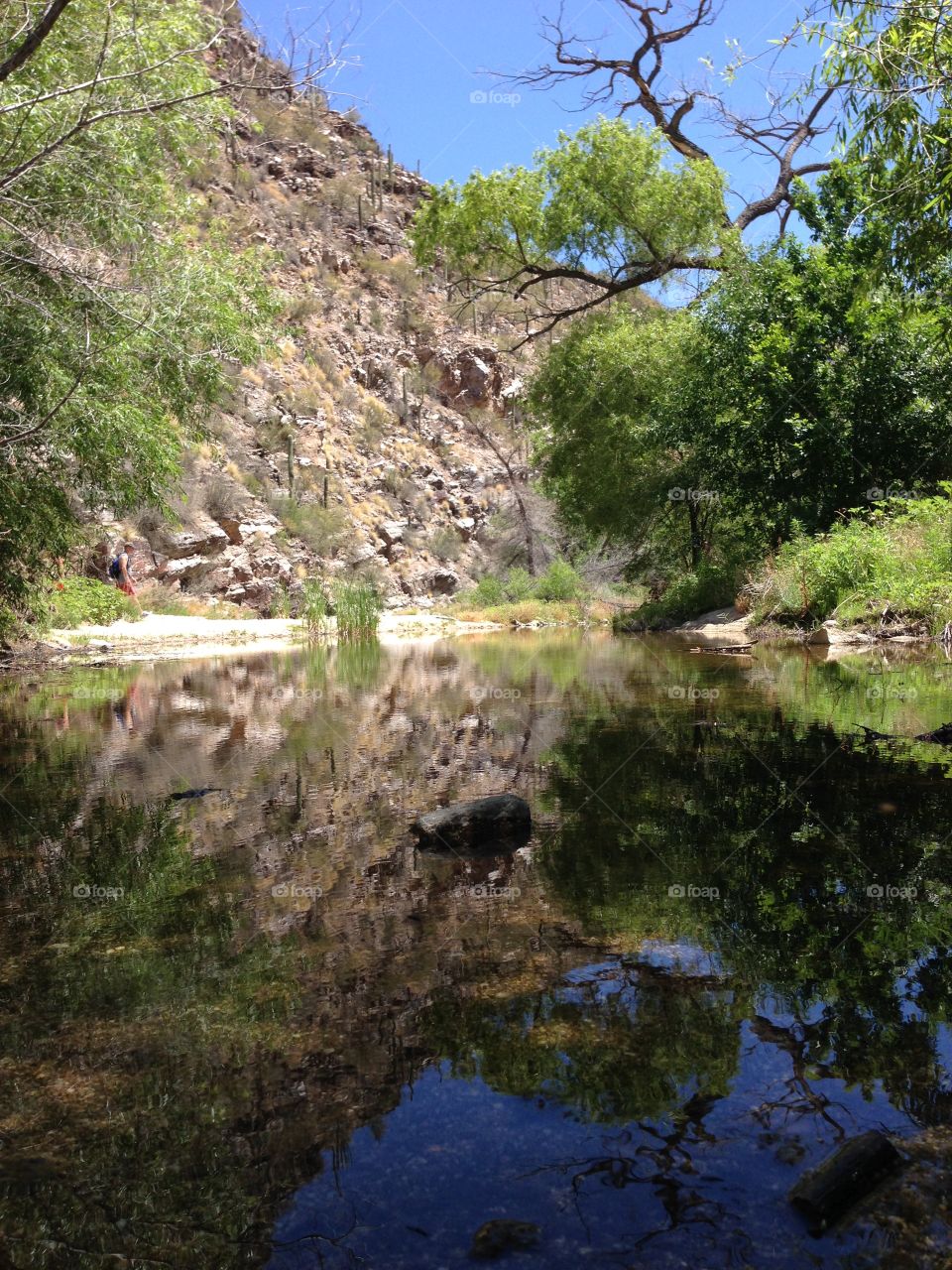 Water Tucson . Sabino valley