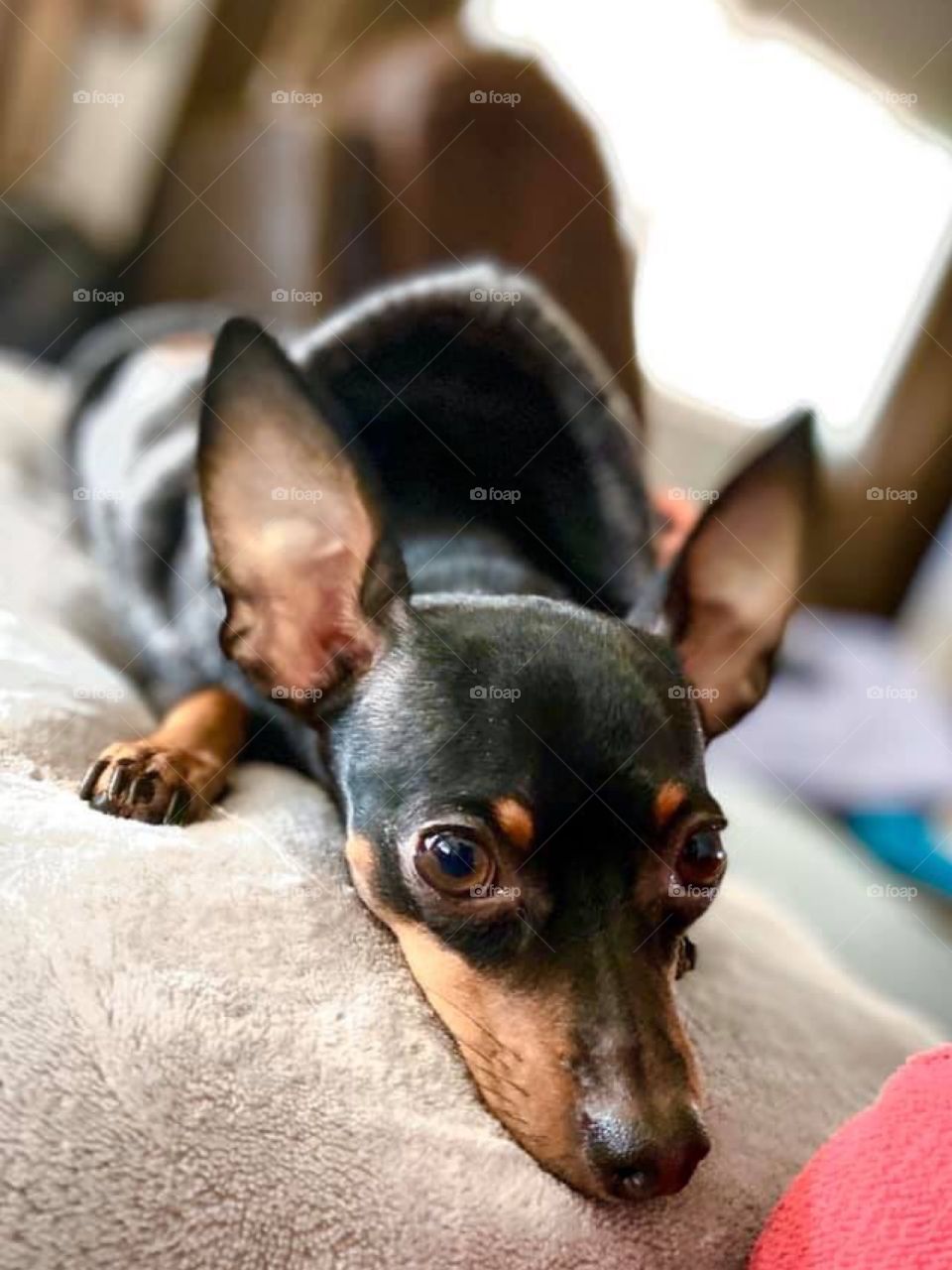 Cuteness is shining in her eyes.