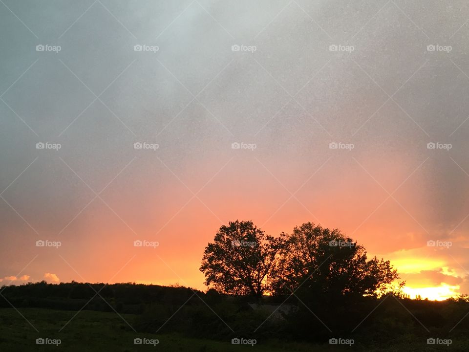 Trees silhouetted against a gorgeous sunset. I love the colours here, the sky looks like it’s been painted!