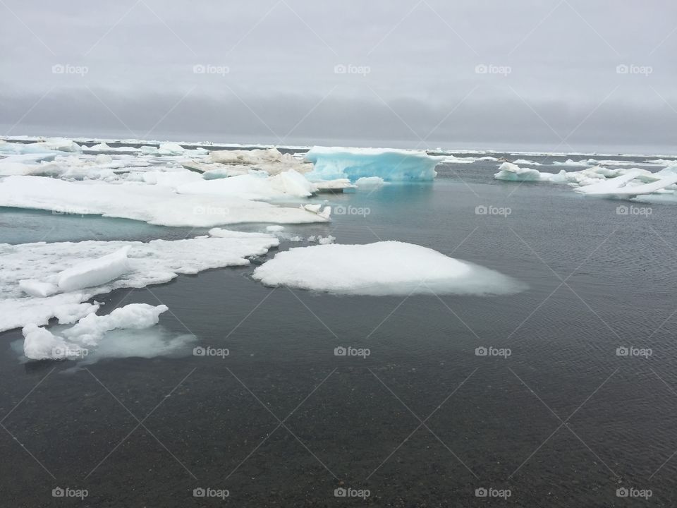 Blue Arctic Sea Ice