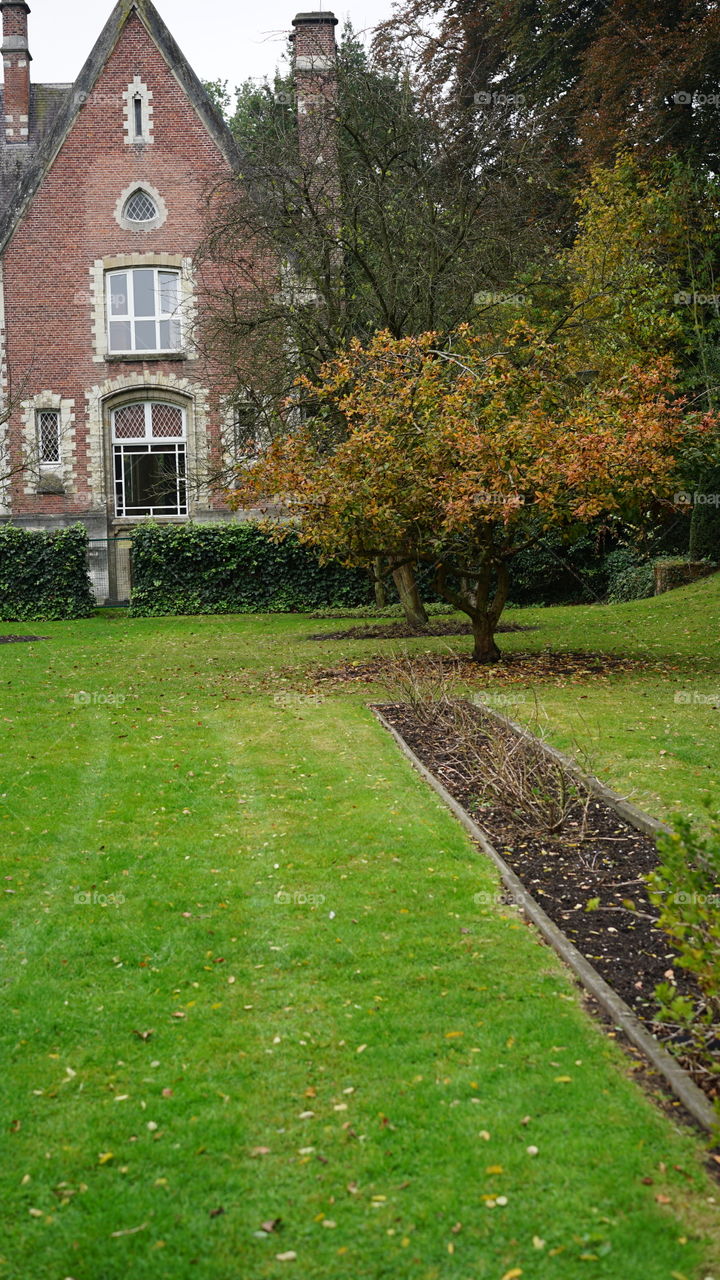 In a garden in Antwerp