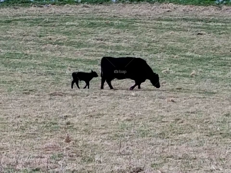 Driving the back Roads and enjoying everything around us