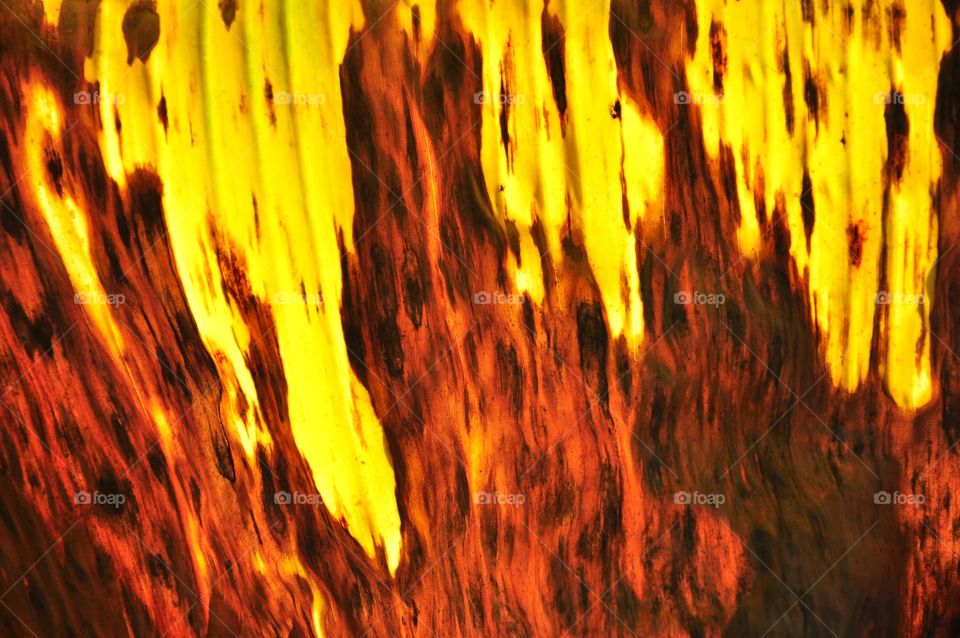 Autumn or dried banana leaf textured abstract background. Yellow and brown leaf texture. Yellow leaf. Dried leaf.