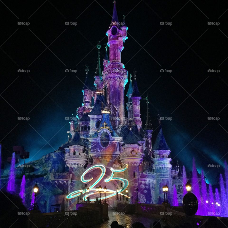 Disneyland  in Paris 