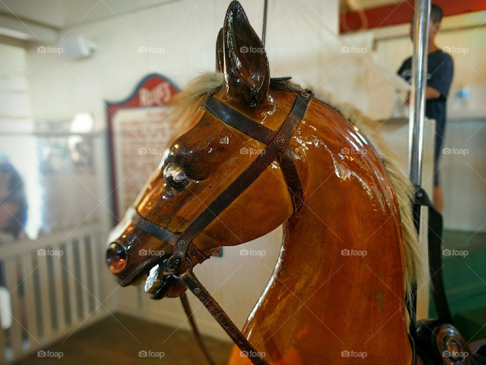 Flying Horse Carousel