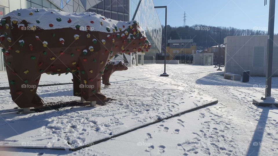 Reminder that once bears lived here