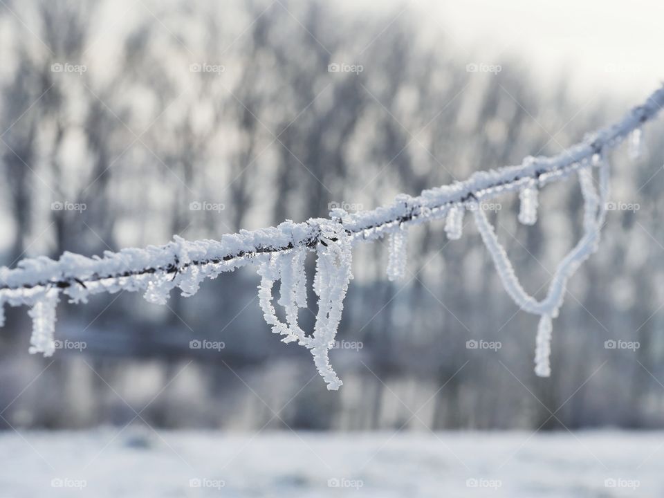 Frozen Barbed Wire