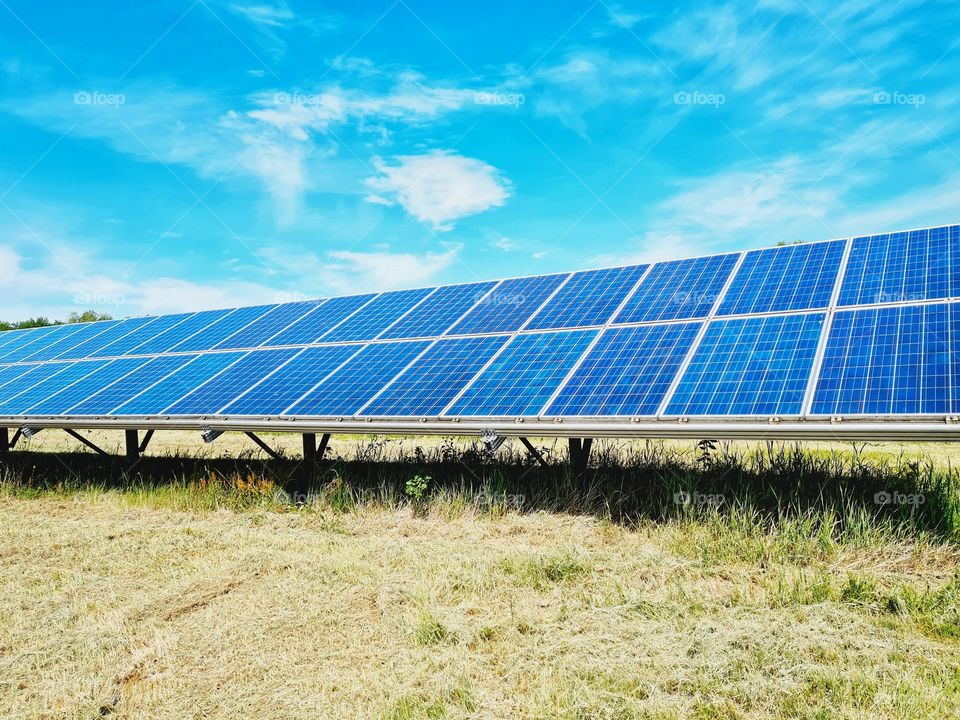 solar panels placed in a field