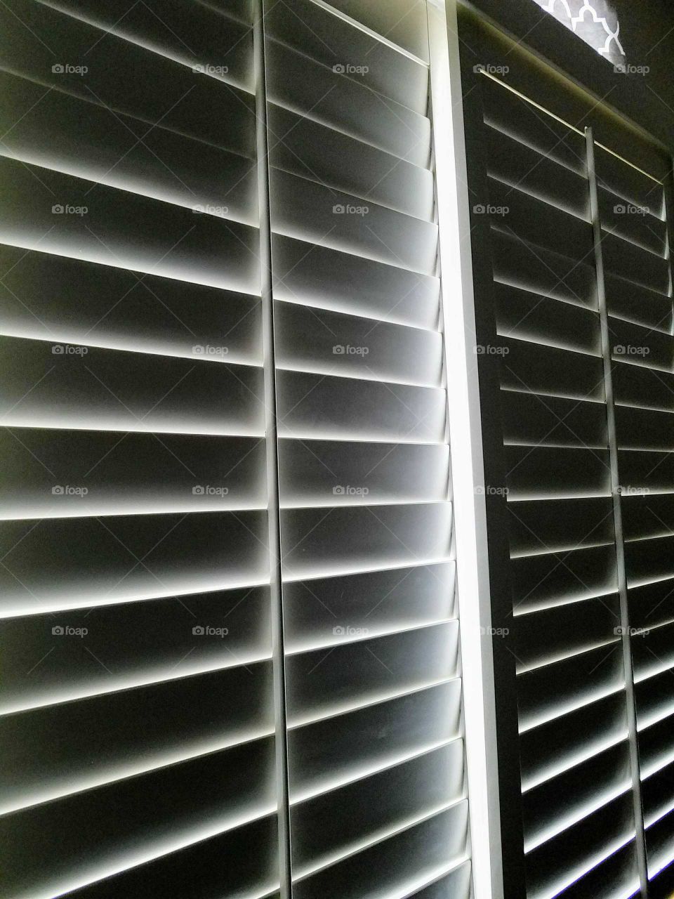 Window Shades