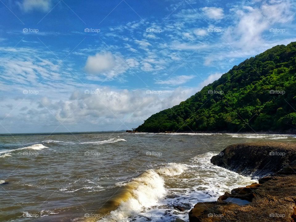 photography pictures of trees, mountains, cloves, rocks, sky, sea, sea