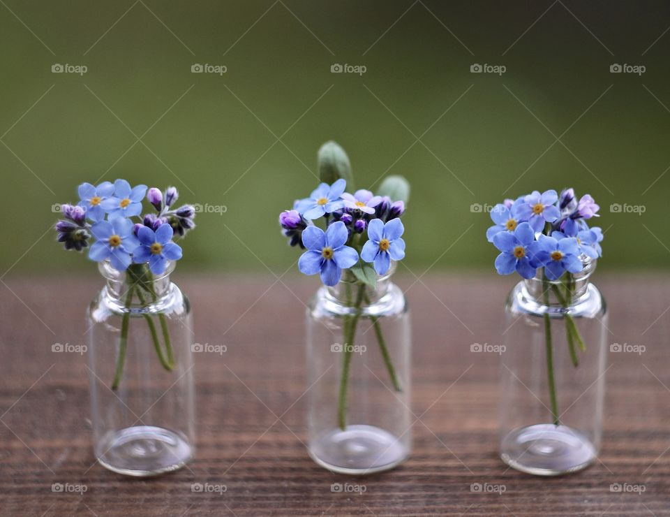 Three small glass vases with forget-me-nots