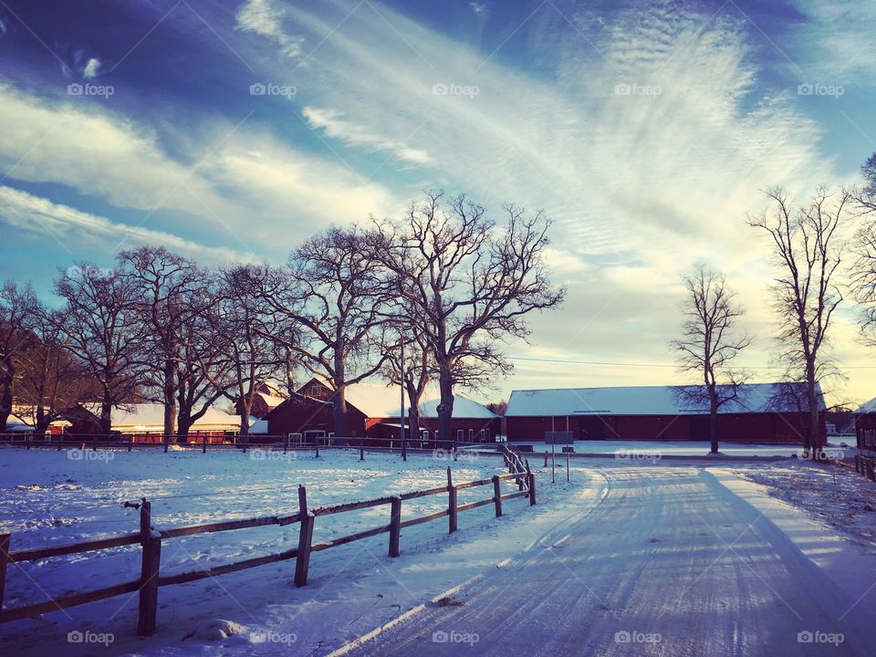 Farm in winter landscape 