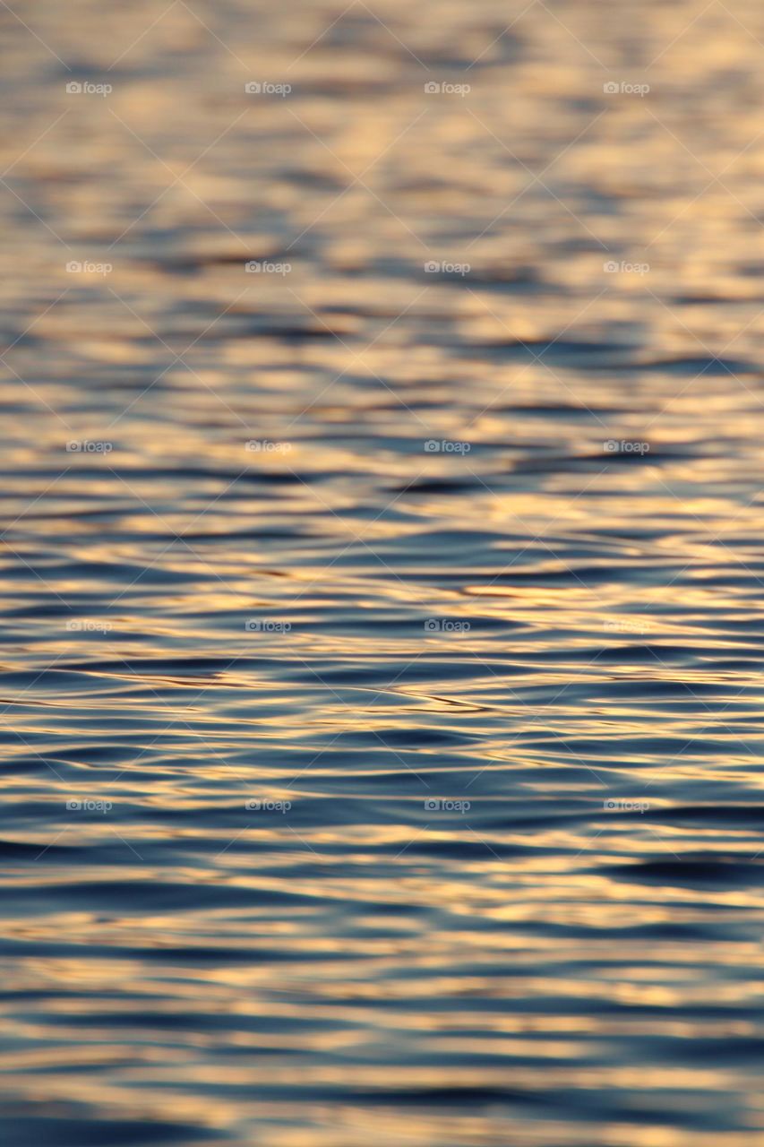 Golden ripples 