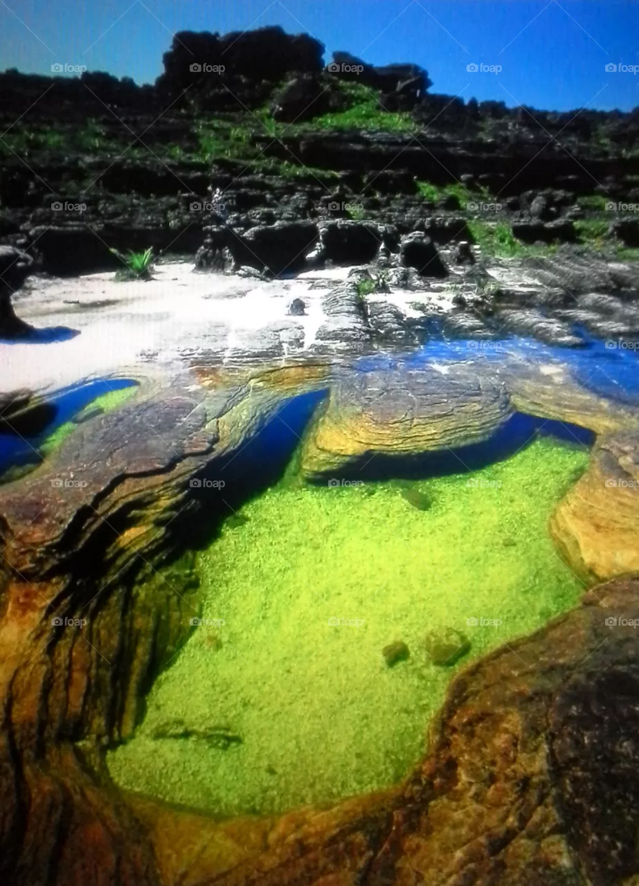 Venezuela canaima