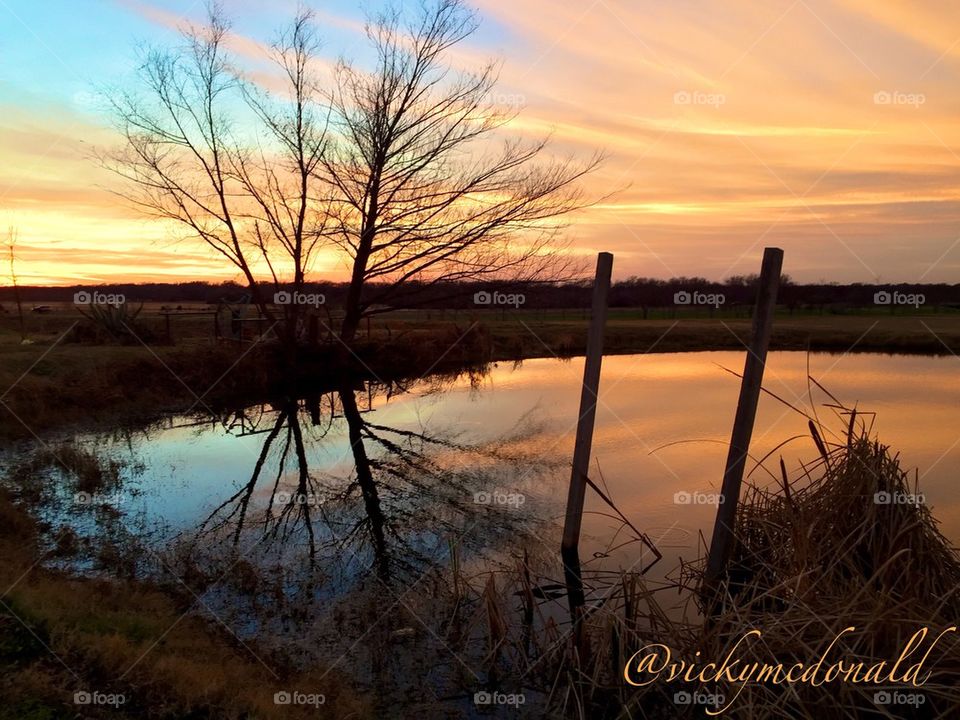 Texas pond at sunset 