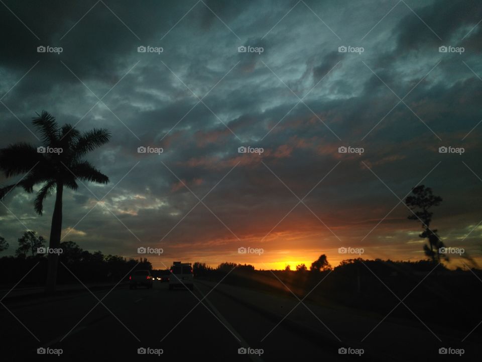 Florida lights my eyeballs up 💫♥😎