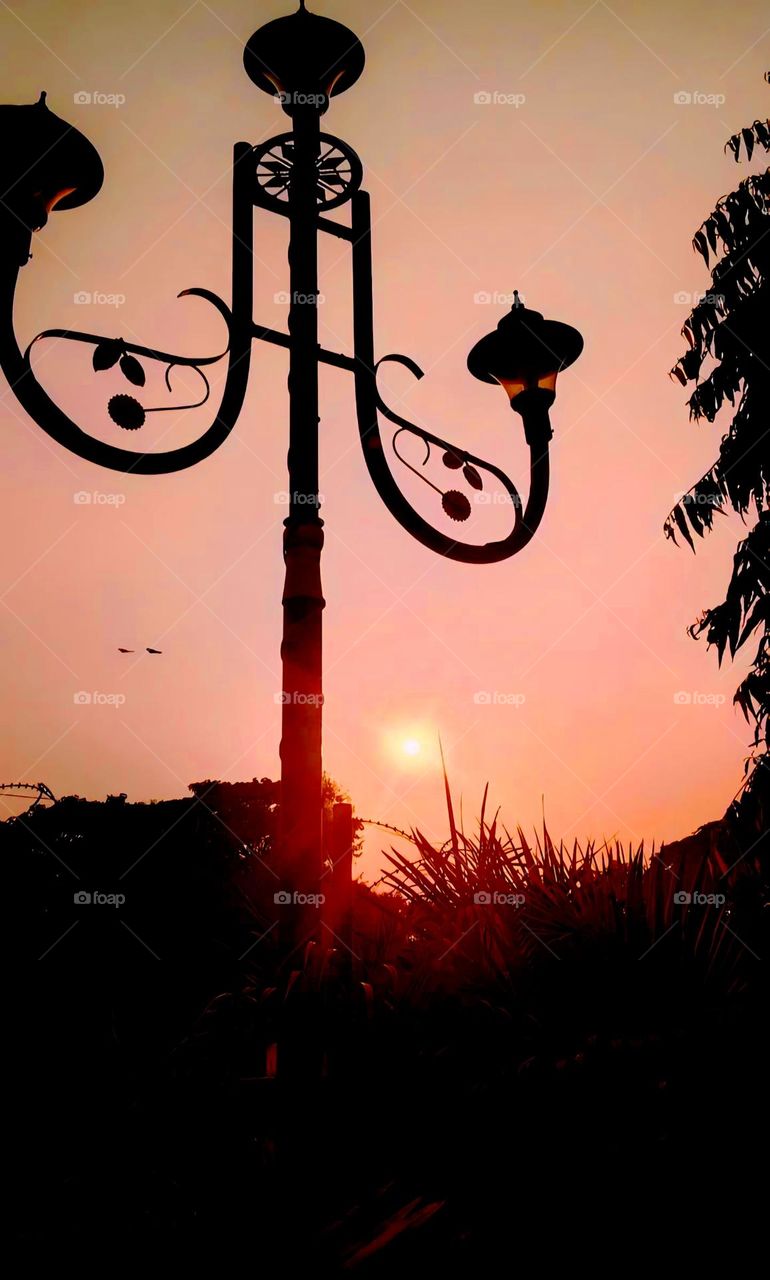 Sunset Silhouettes" captures the tranquil beauty of a sunset with the intricate silhouettes of a street lamp and foliage against a warm, glowing sky, emphasizing serenity and harmony in nature.