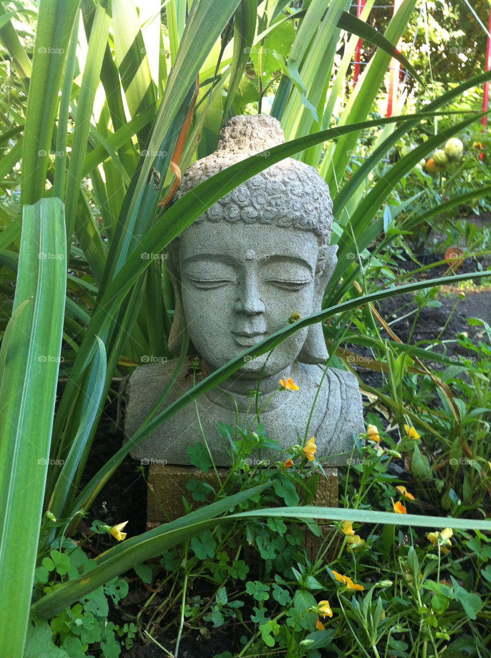 garden buddha by sixcrows