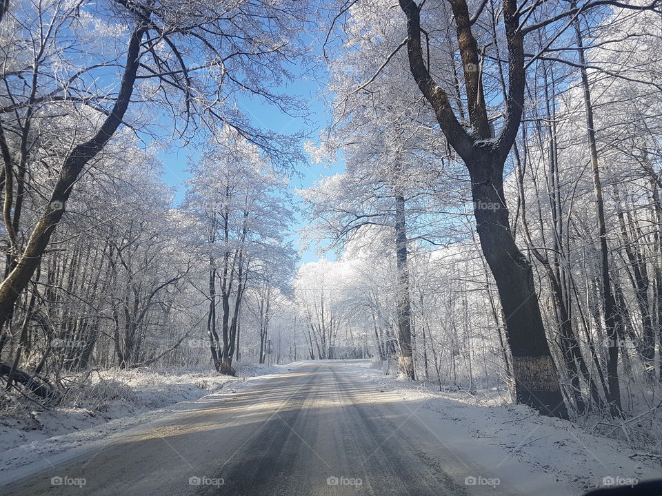 Empty road during winter