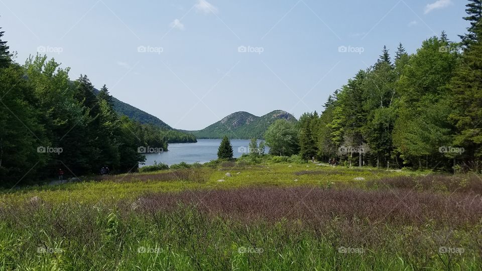 Acadia Jordan Pond Bubble