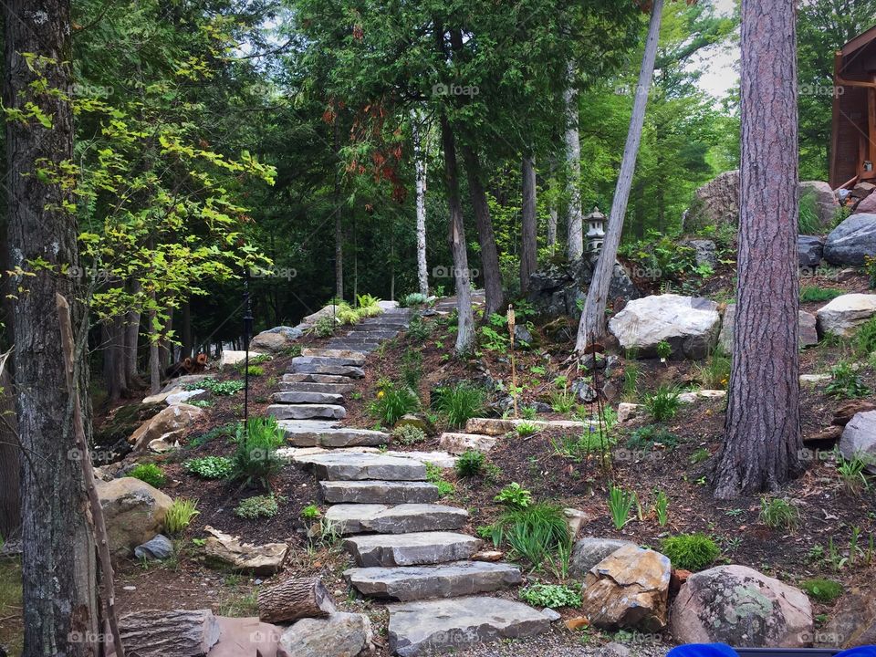 Stairway in a beautiful landscape 