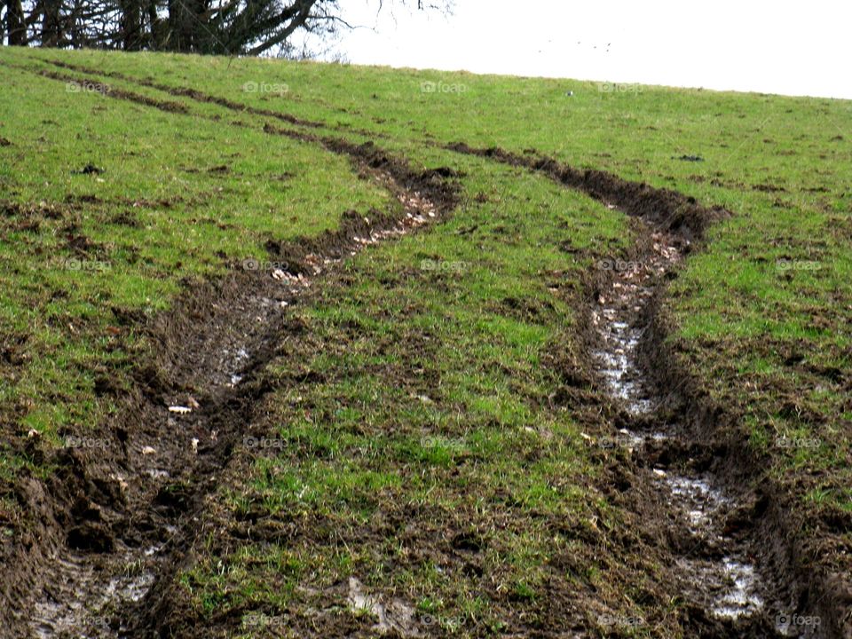 muddy field's  tracks 
