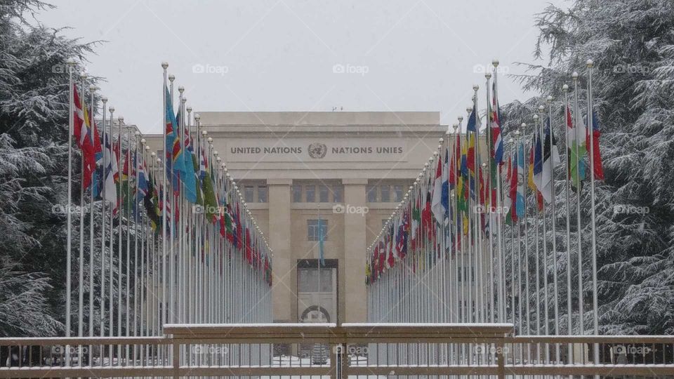 The United Nations in Geneva
