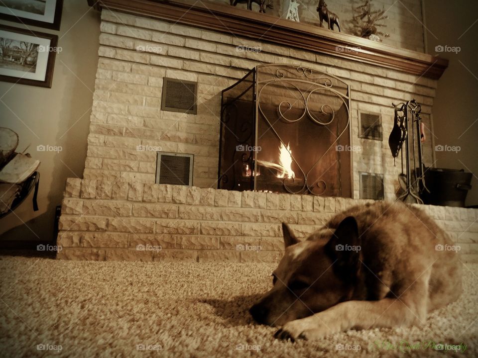 Allie enjoying a form fire on a cold day at our home in Sedalia, Missouri 