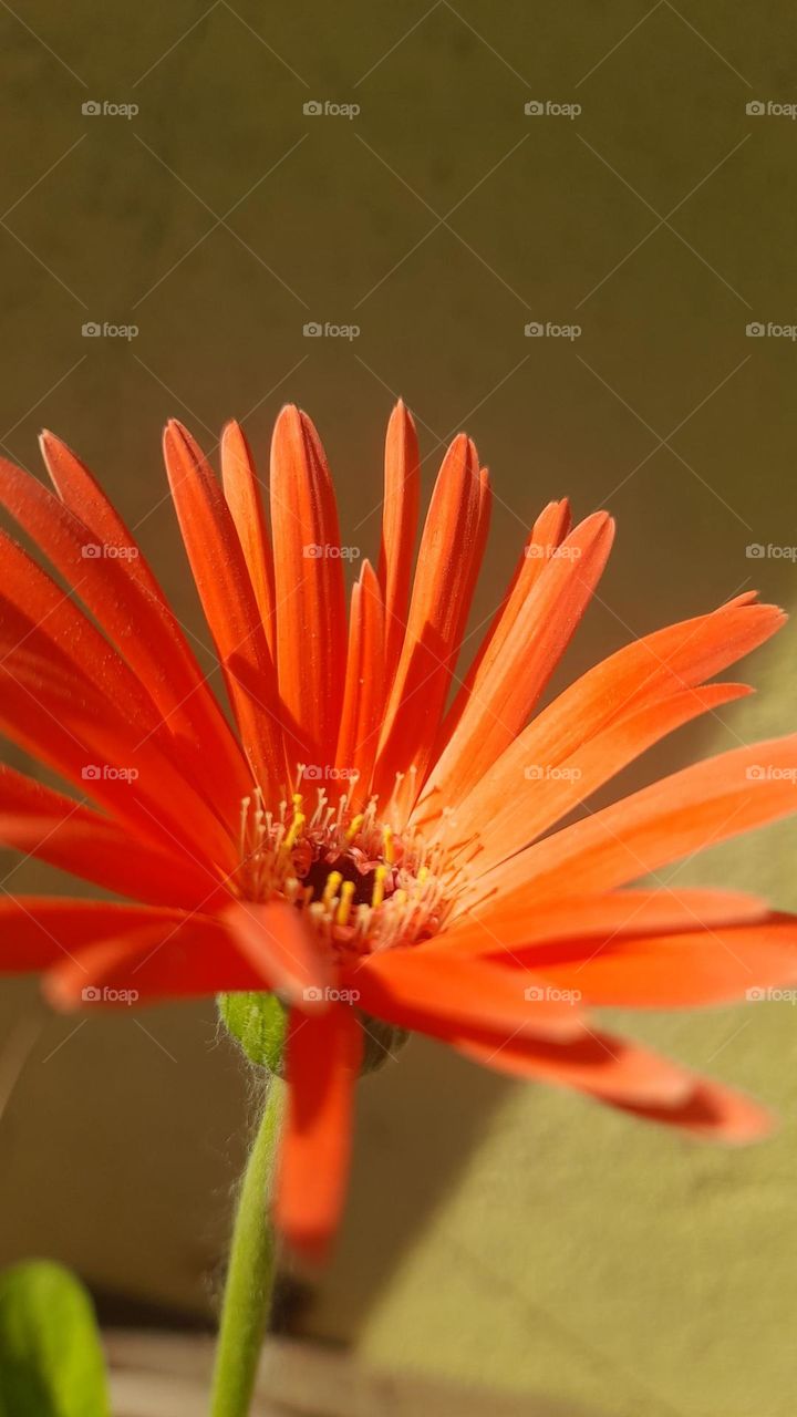 Spring flings begins 🦋