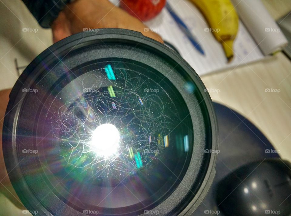 Camera lens with fungus