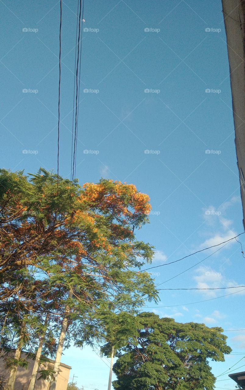 Finalzinho de Tarde!