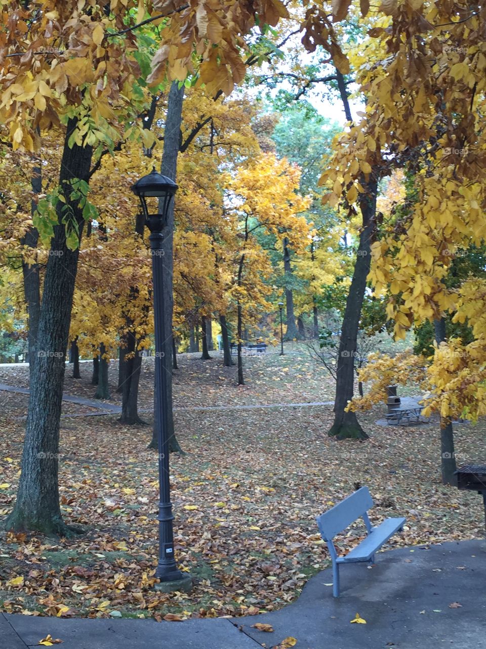 Fall Resting Spot