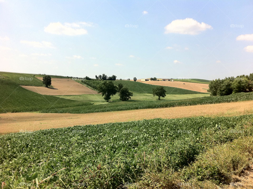 tonco by fedeanimation